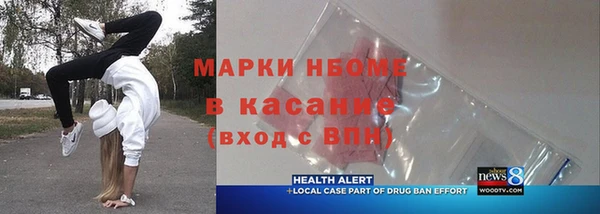 хмурый Алексин