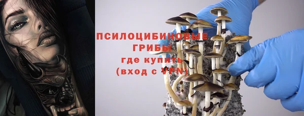 хмурый Алексин