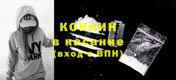 хмурый Алексин