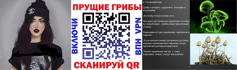 даркнет сайт Калининск Псилоцибиновые грибы Magic Shrooms